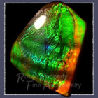 Genuine Alberta Freeform Ammolite Image
