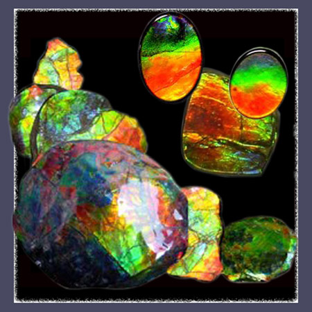 Rainbow Array of Gemstone Quality Natural And Shaped Ammolite